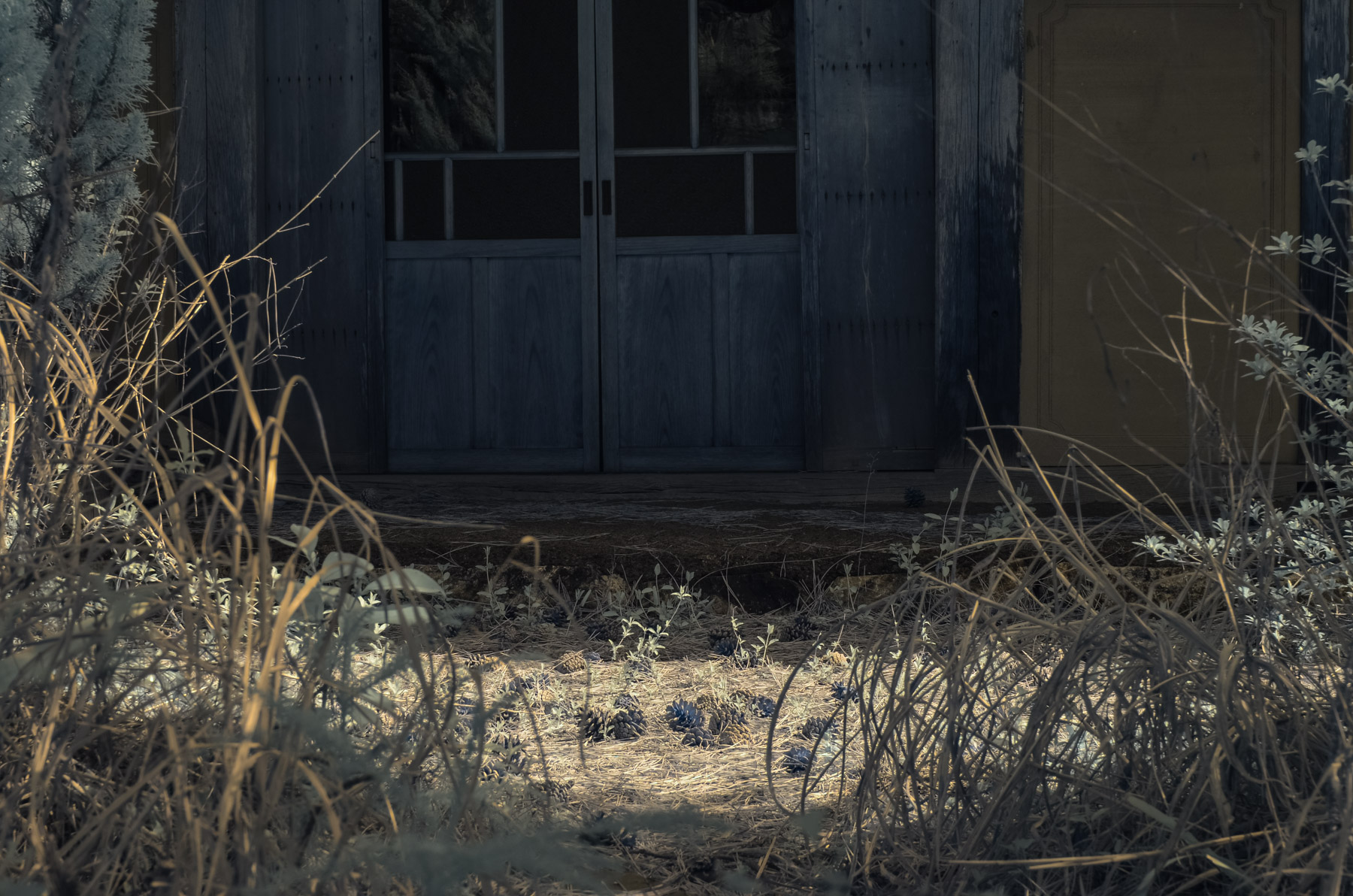 abandoned, chubu, gifu, haikyo, hospital, infrared, japan, japanese, ruin, special, urban exploration, urbex