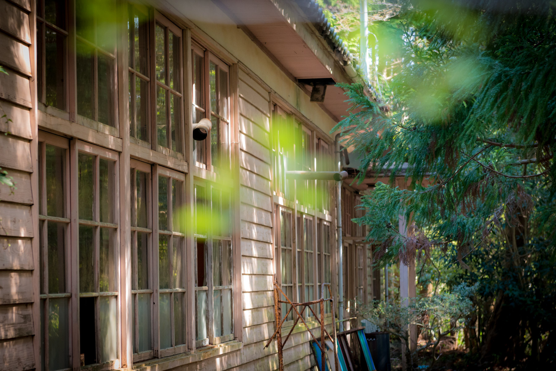 abandoned, chubu, haikyo, japan, japanese, ruin, school, shizuoka, urban exploration, urbex