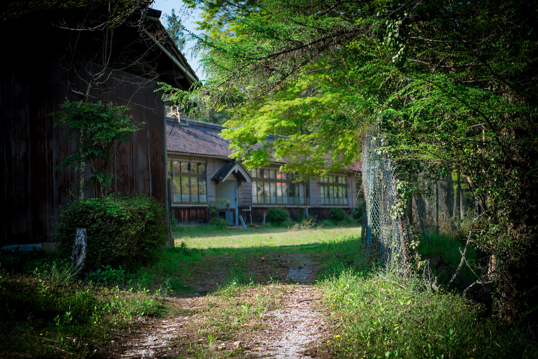 abandoned, haikyo, ruin, school, urban exploration, urbex