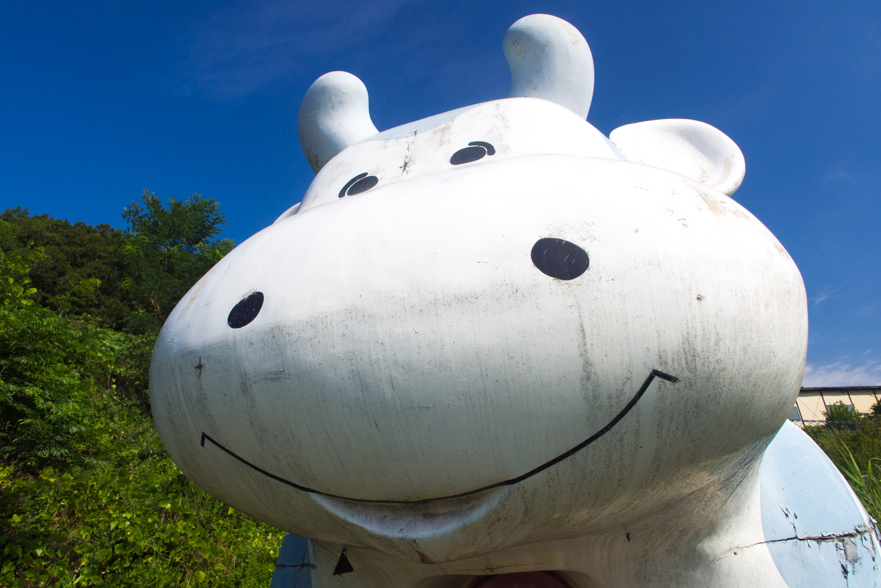 abandoned, chubu, haikyo, japan, japanese, ruin, urban exploration, urbex, yamanashi
