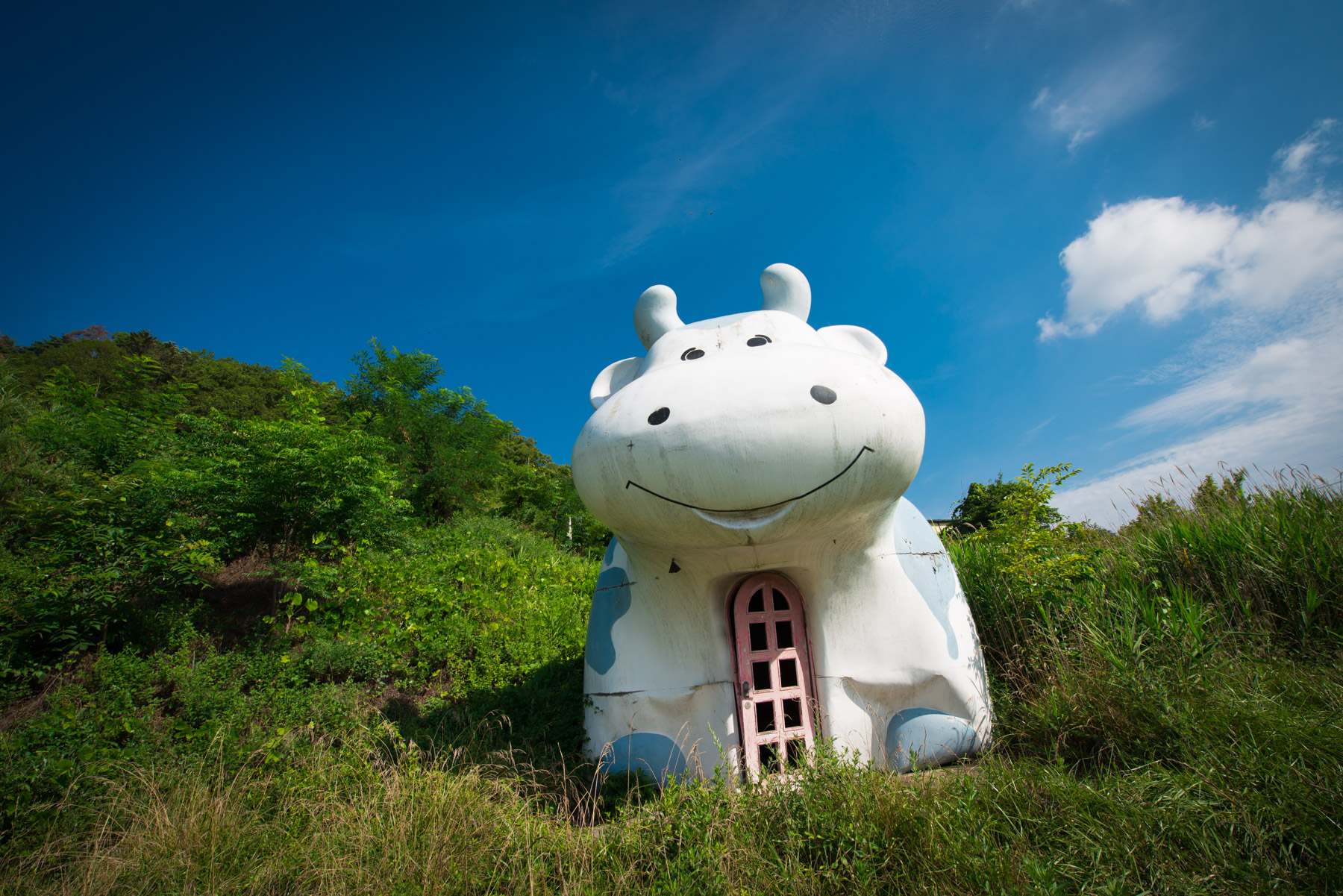 abandoned, chubu, haikyo, japan, japanese, ruin, urban exploration, urbex, yamanashi