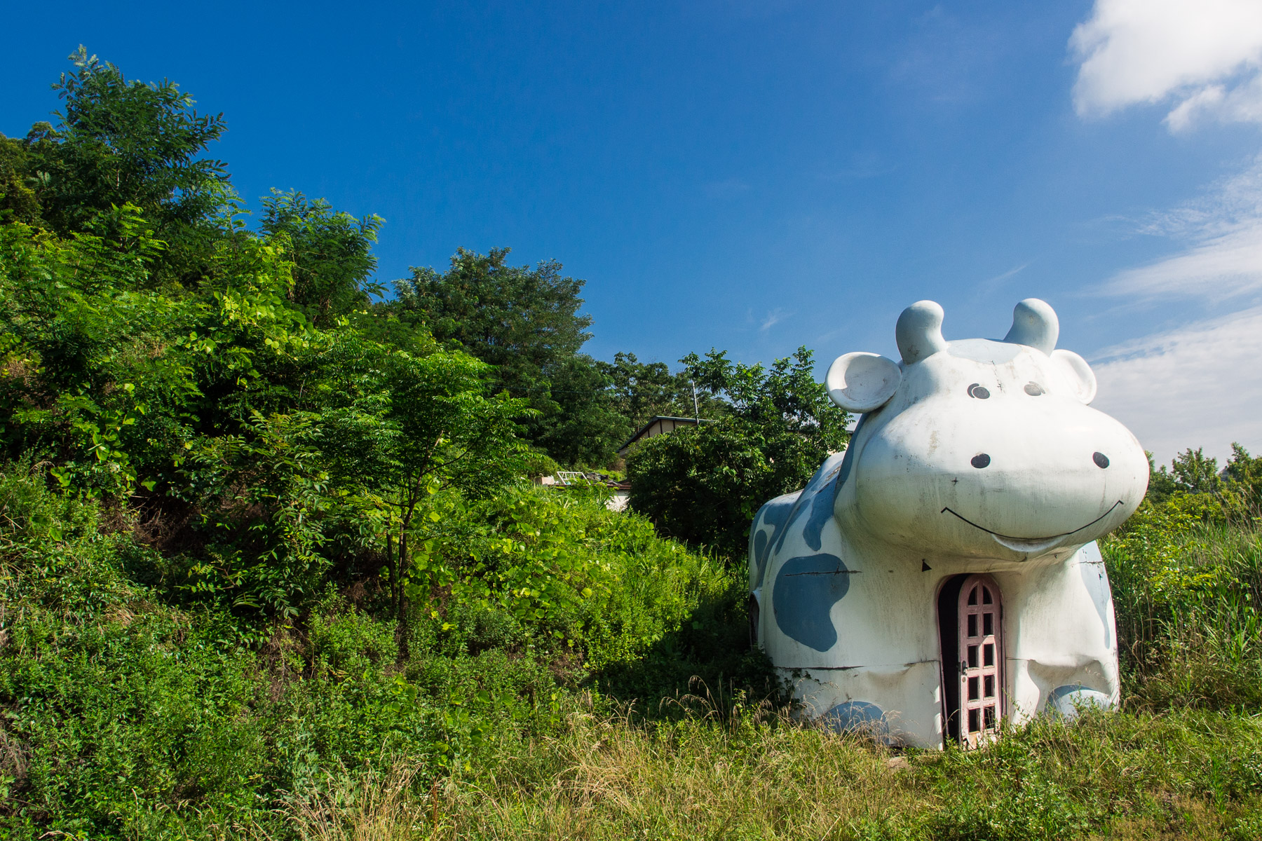 abandoned, chubu, haikyo, japan, japanese, ruin, urban exploration, urbex, yamanashi