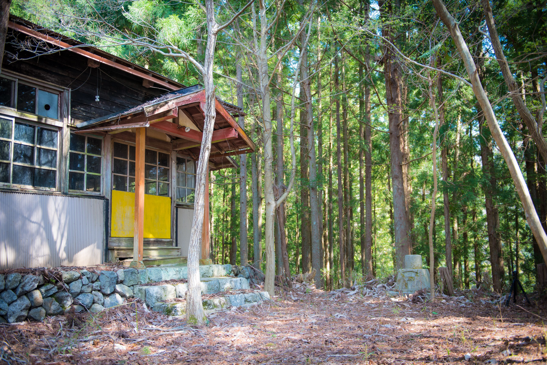 abandoned, chubu, haikyo, japan, japanese, ruin, school, shizuoka, urban exploration, urbex