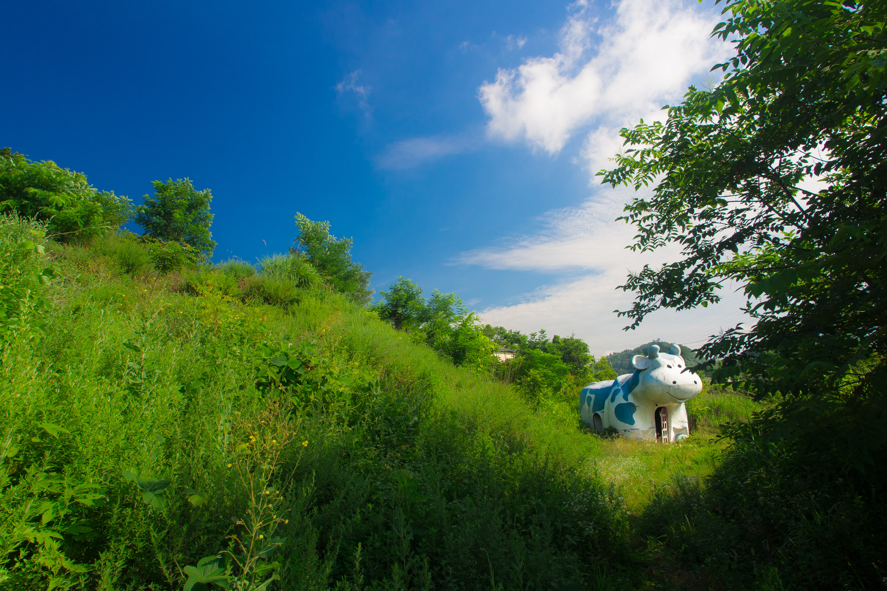 abandoned, chubu, haikyo, japan, japanese, ruin, urban exploration, urbex, yamanashi