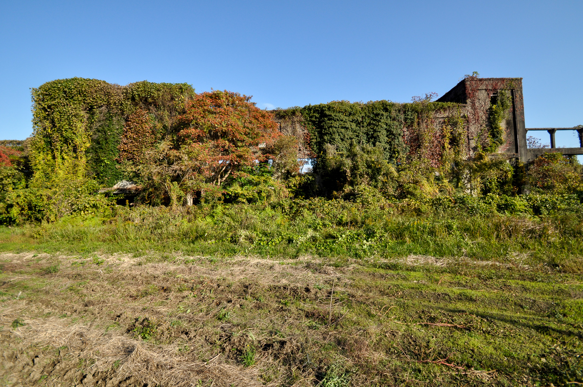 Imari Kawanami Shipyard IV