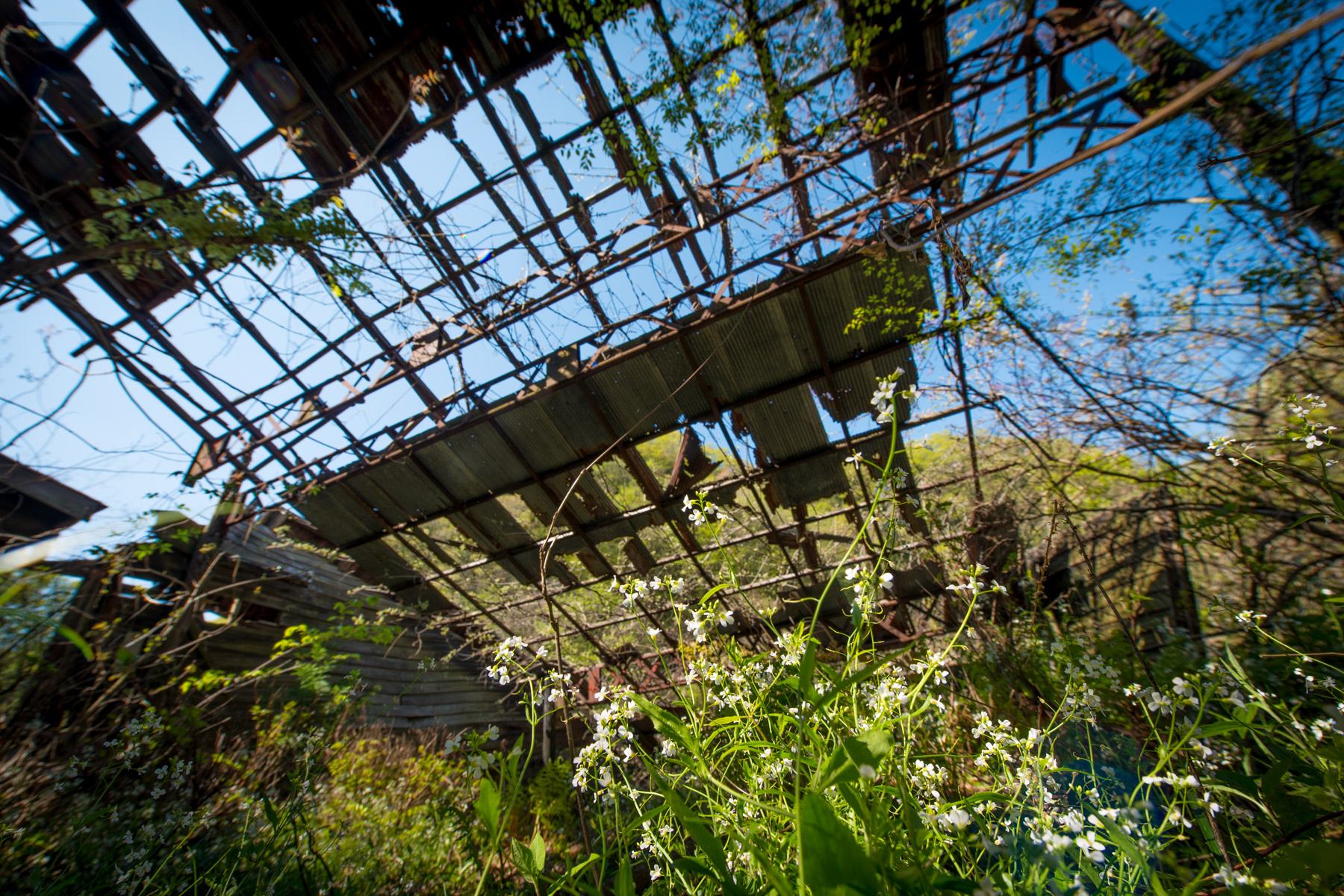 abandoned, chugoku, factory, haikyo, japan, japanese, mine, okayama, ruin, urban exploration, urbex