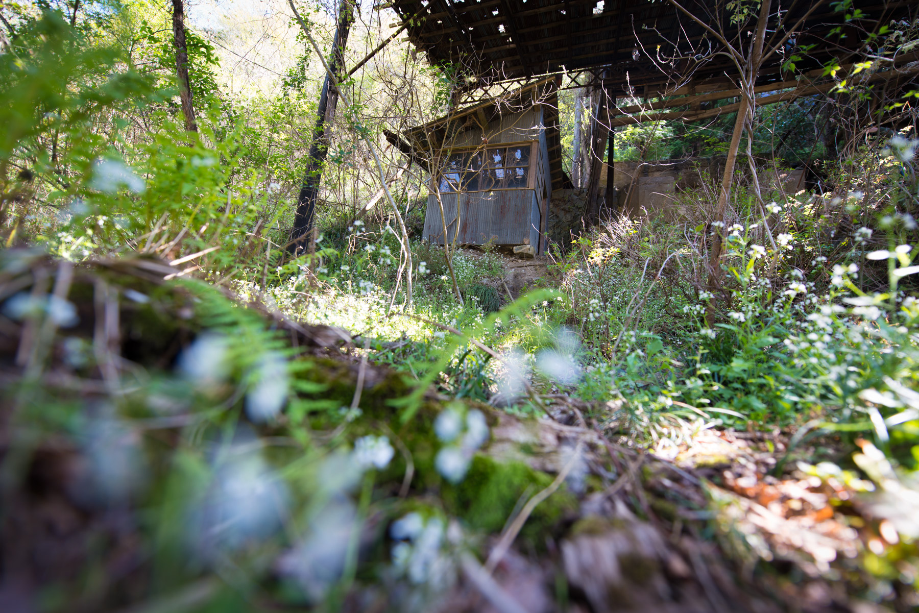 abandoned, chugoku, factory, haikyo, japan, japanese, mine, okayama, ruin, urban exploration, urbex