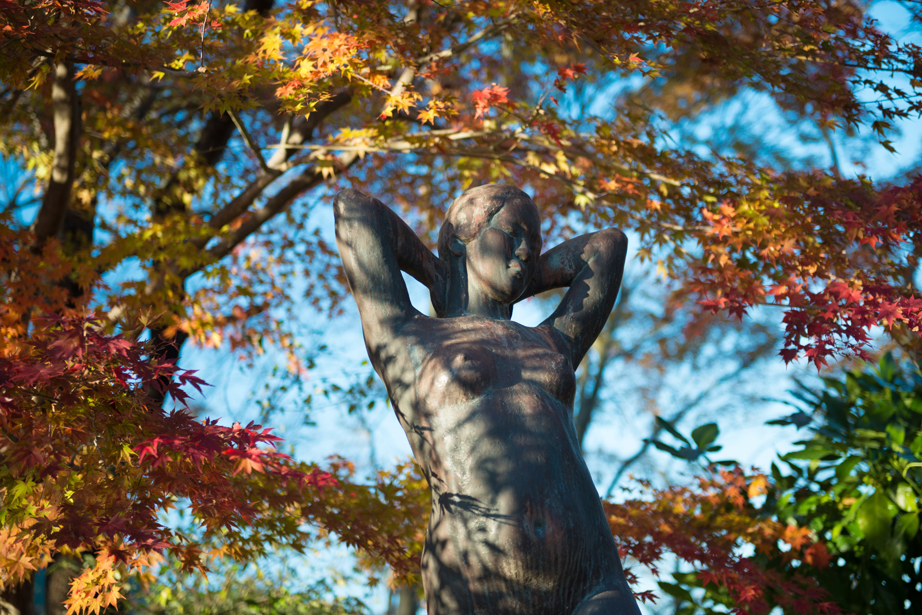 autumn, gunma, japan, japanese, kanto
