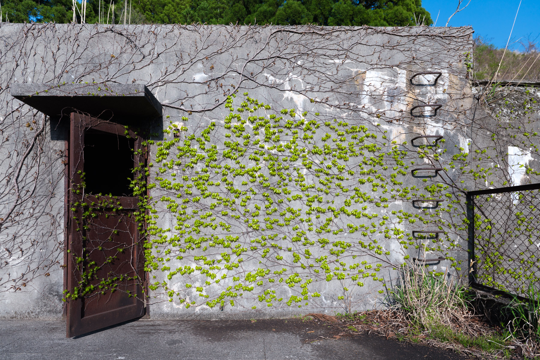 abandoned, haikyo, ruin, urban exploration, urbex