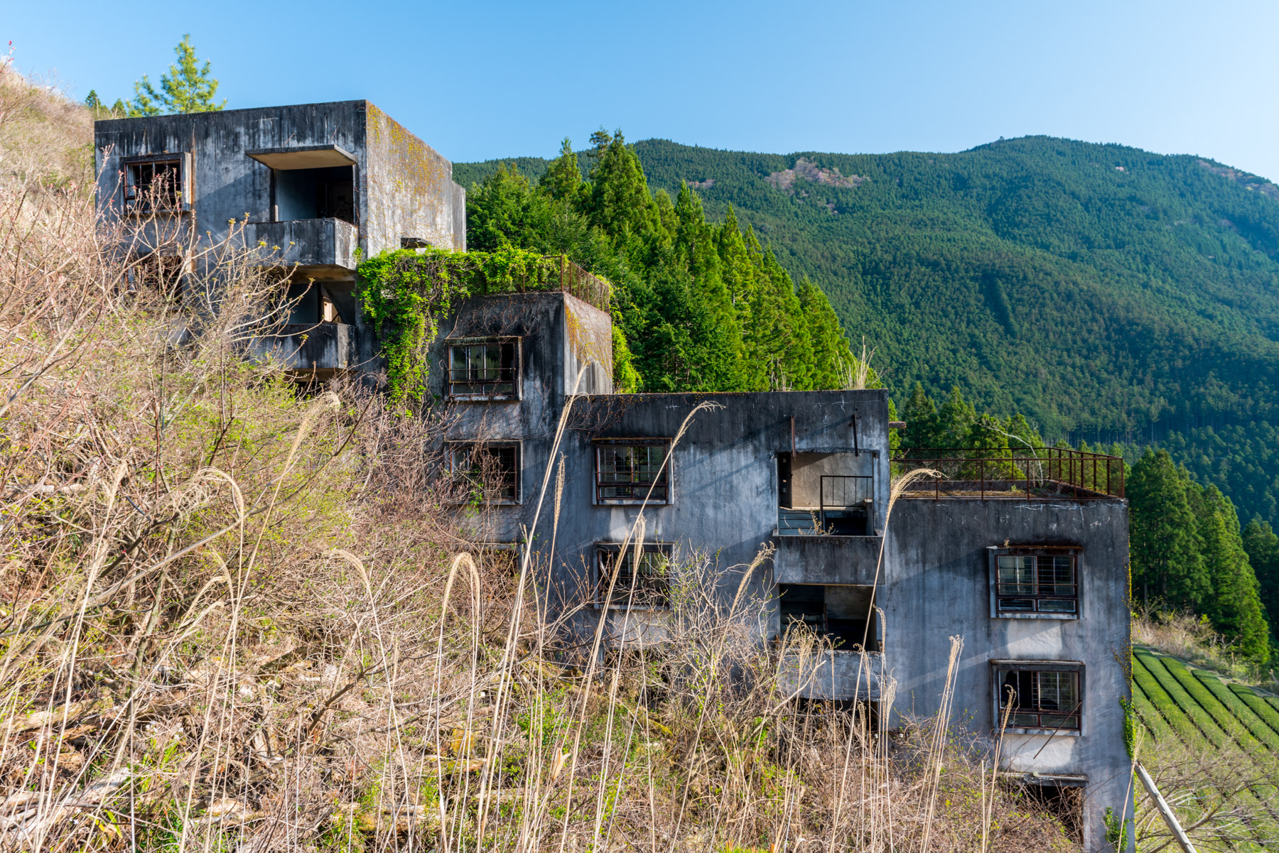 abandoned, haikyo, ruin, urban exploration, urbex