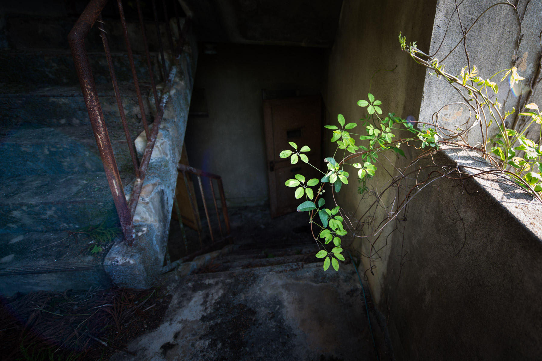 abandoned, haikyo, ruin, urban exploration, urbex
