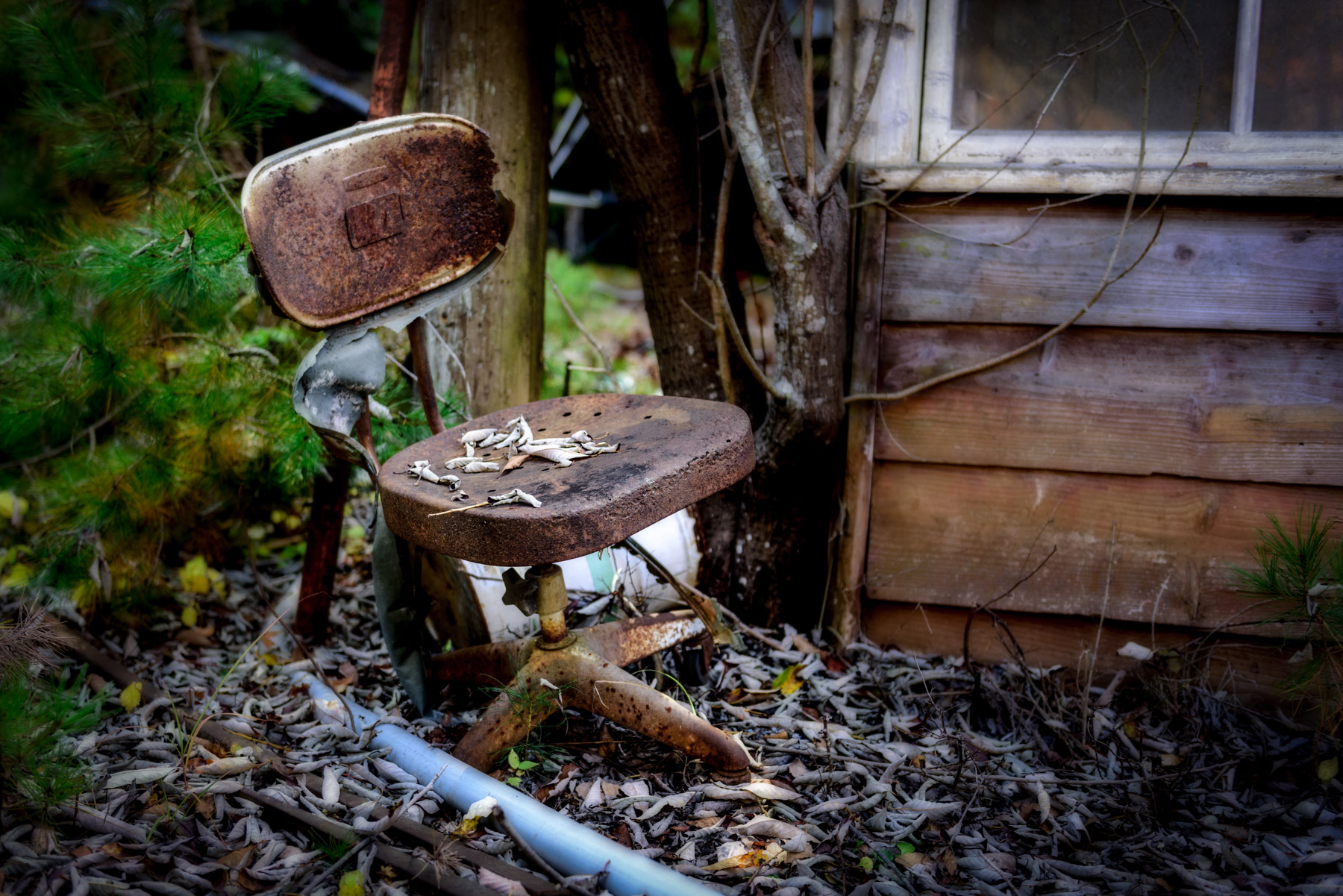 abandoned, chichibu, factory, haikyo, japan, japanese, kanto, mine, ruin, saitama, urban exploration, urbex