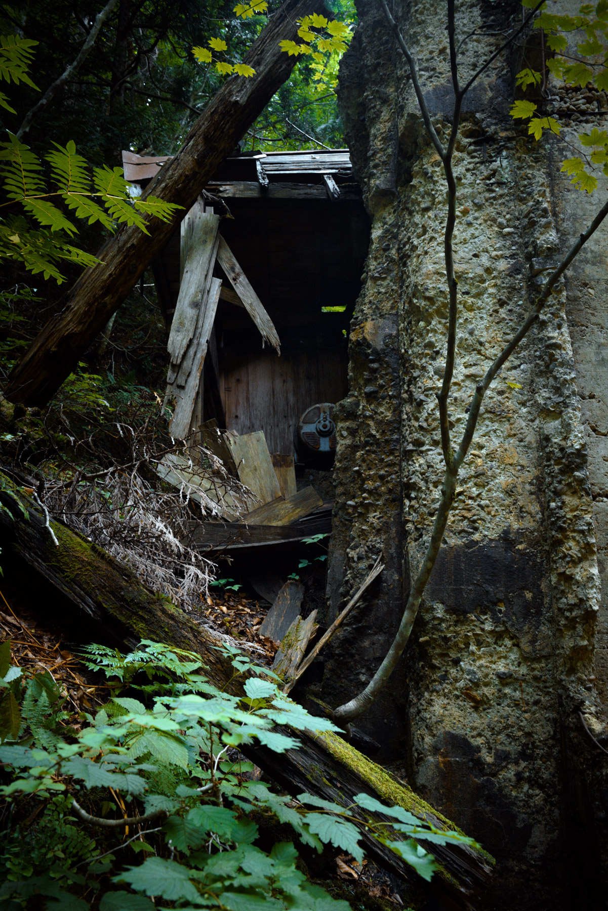 abandoned, aomori, factory, haikyo, japan, japanese, ruin, tohoku, urban exploration, urbex