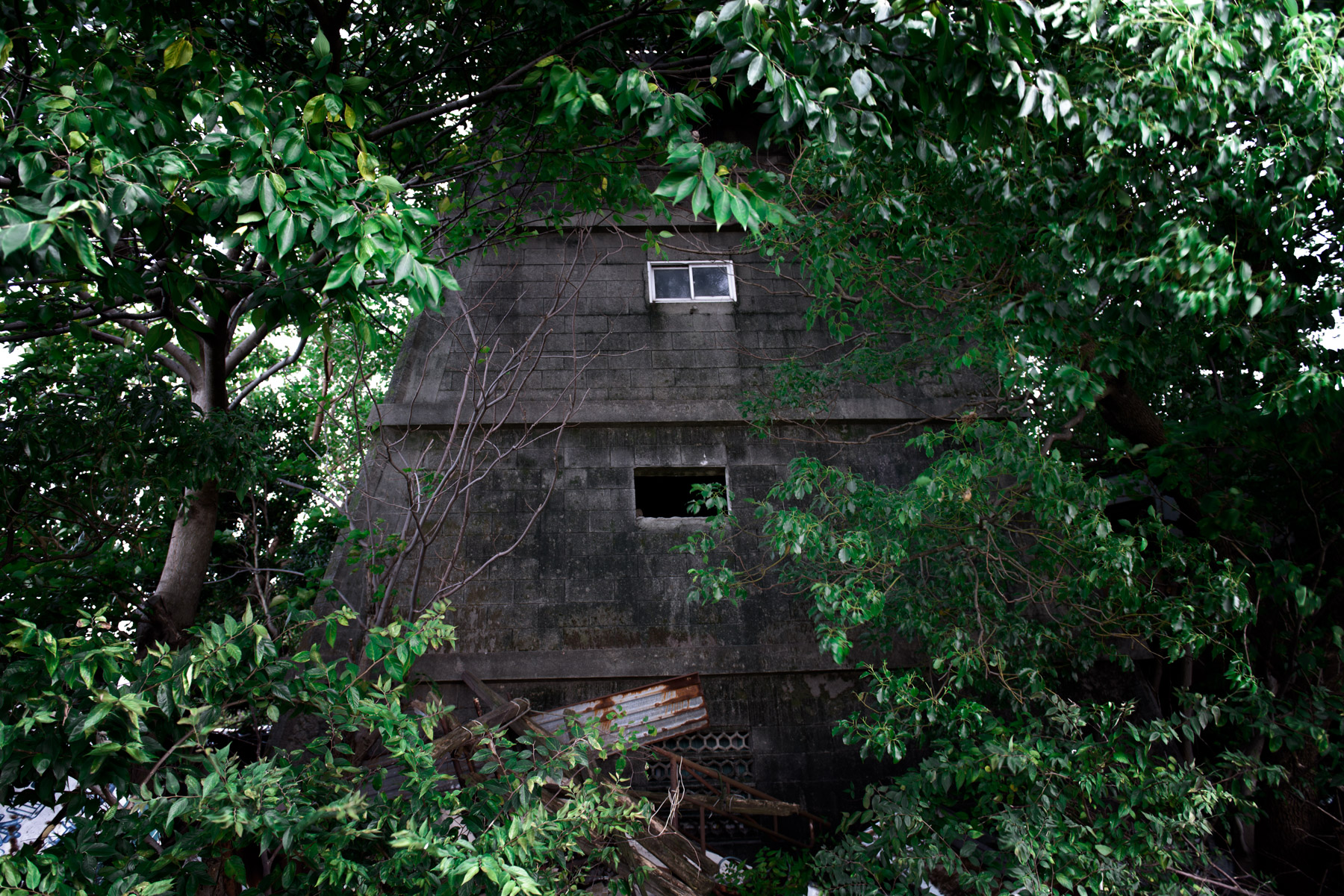 abandoned, aichi, chubu, haikyo, house, japan, japanese, nagoya, ruin, urban exploration, urbex