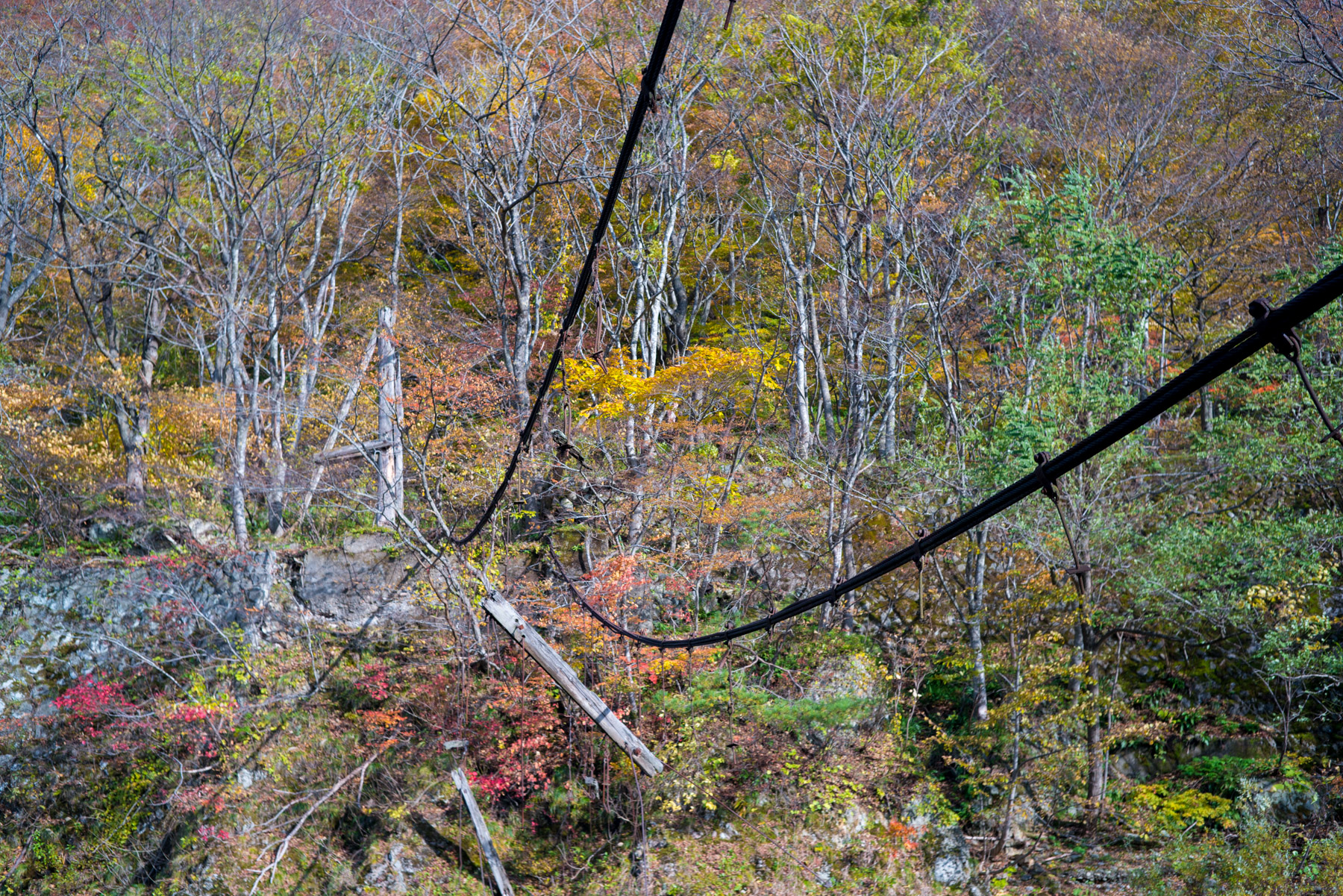 abandoned, autumn, factory, haikyo, iwate, japan, japanese, power-plant, ruin, tohoku, urban exploration, urbex