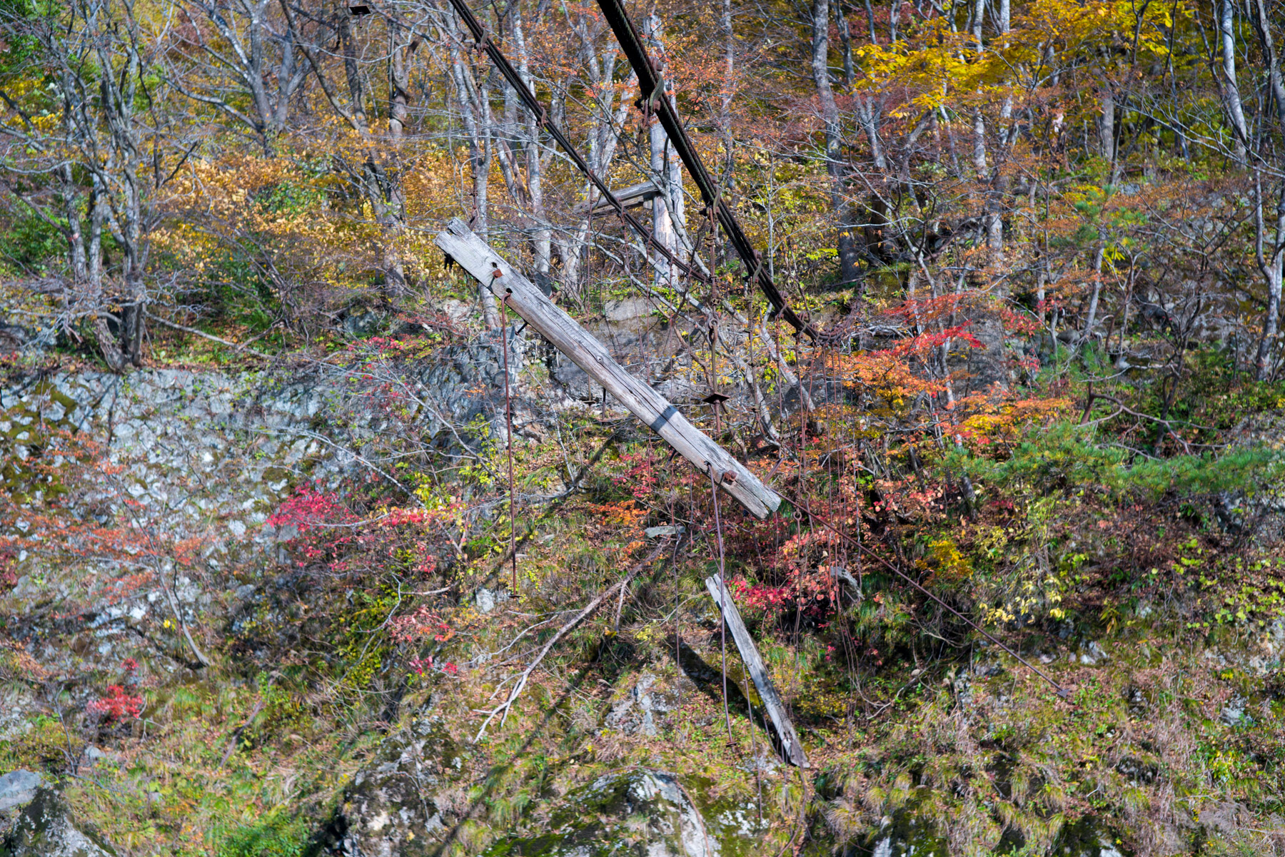 abandoned, autumn, factory, haikyo, iwate, japan, japanese, power-plant, ruin, tohoku, urban exploration, urbex