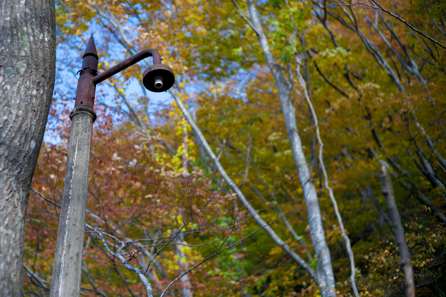 abandoned, autumn, factory, haikyo, iwate, japan, japanese, power-plant, ruin, tohoku, urban exploration, urbex
