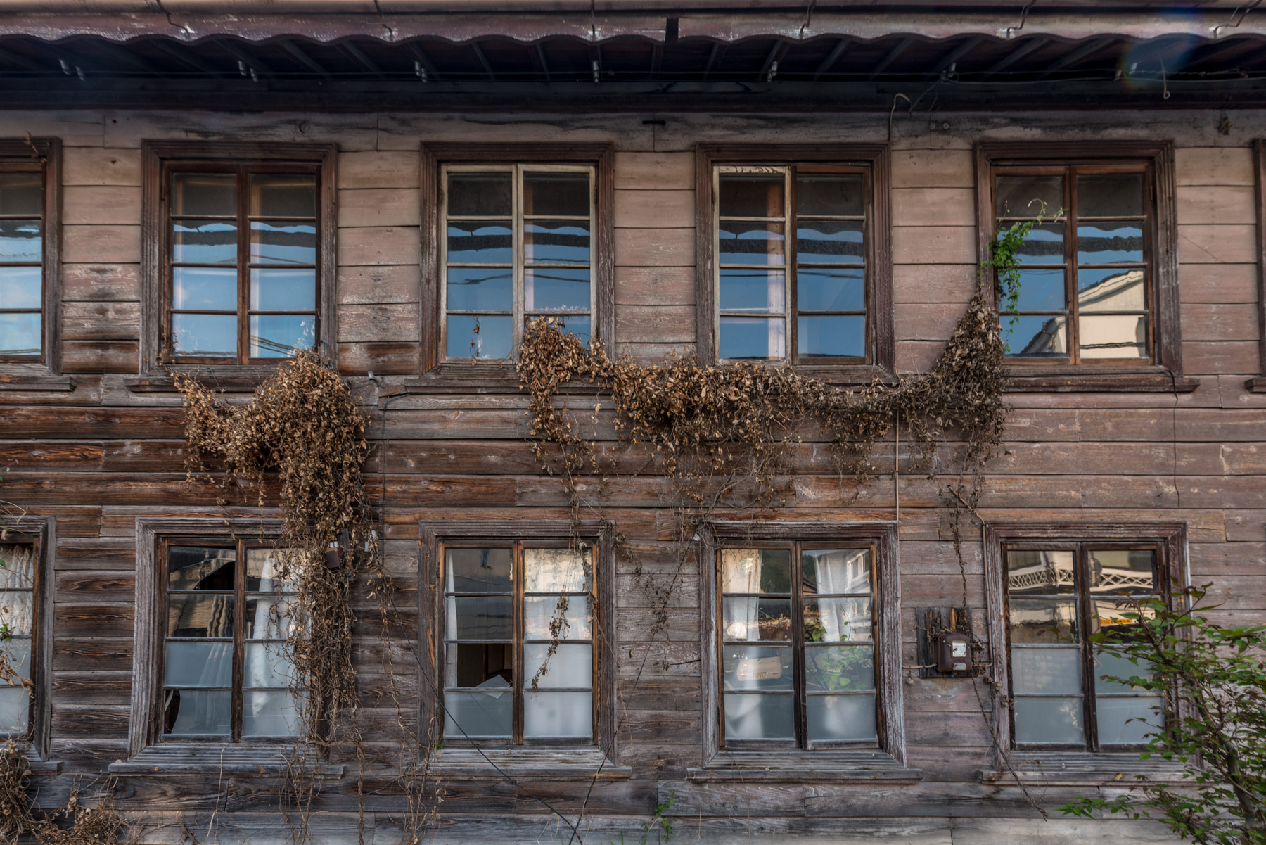abandoned, chugoku, haikyo, hospital, japan, japanese, okayama, ruin, urban exploration, urbex
