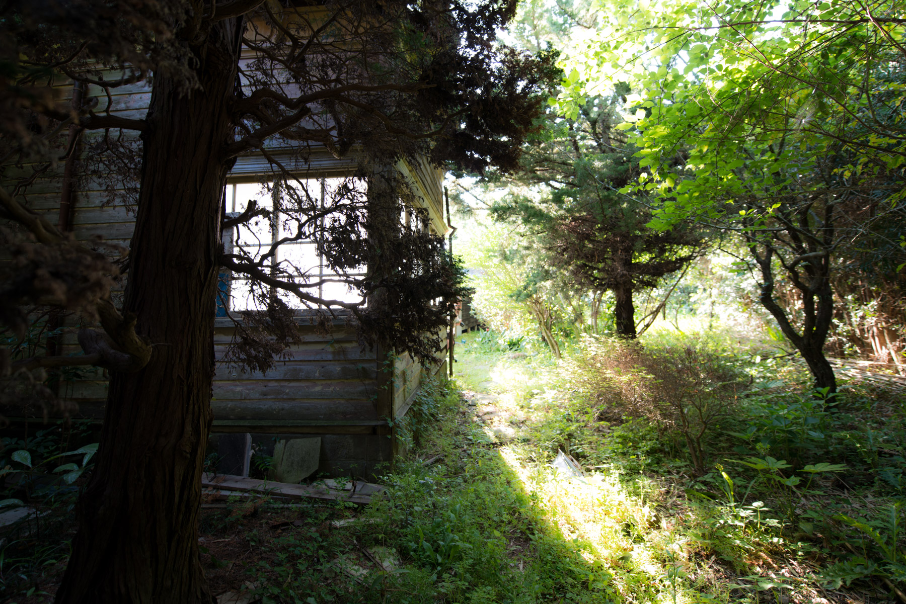abandoned, haikyo, hospital, ruin, urban exploration, urbex
