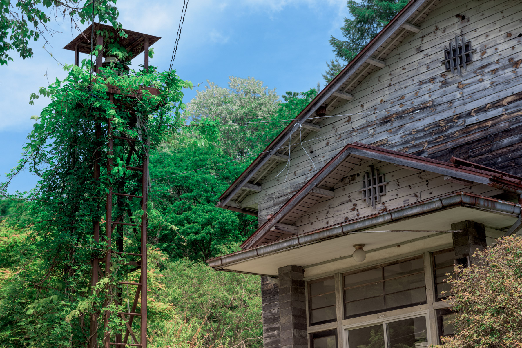 abandoned, haikyo, ruin, school, urban exploration, urbex