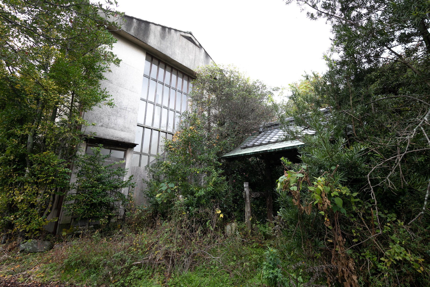abandoned, haikyo, hospital, japan, japanese, kagawa, ruin, shikoku, urban exploration, urbex