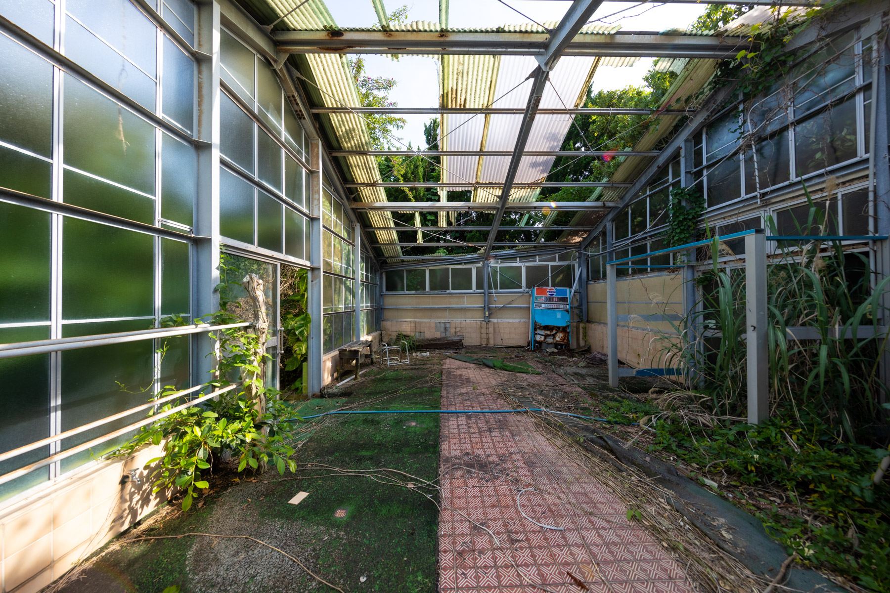 abandoned, hachijojima, haikyo, hotel, japan, japanese, kanto, ruin, tokyo, tokyo-islands, urban exploration, urbex