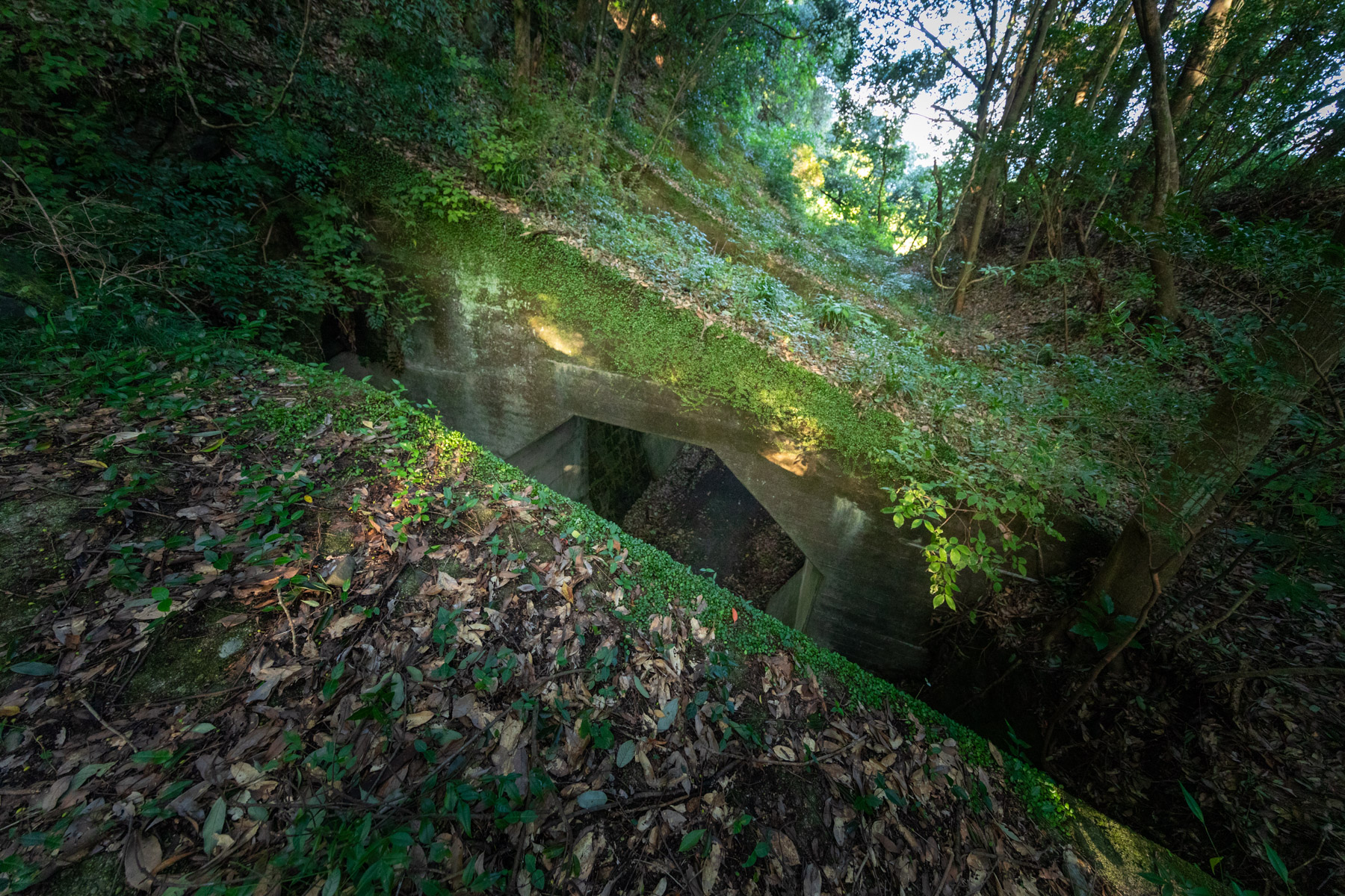 abandoned, haikyo, japan, japanese, kumamoto, kyushu, ruin, tunnel, urban exploration, urbex