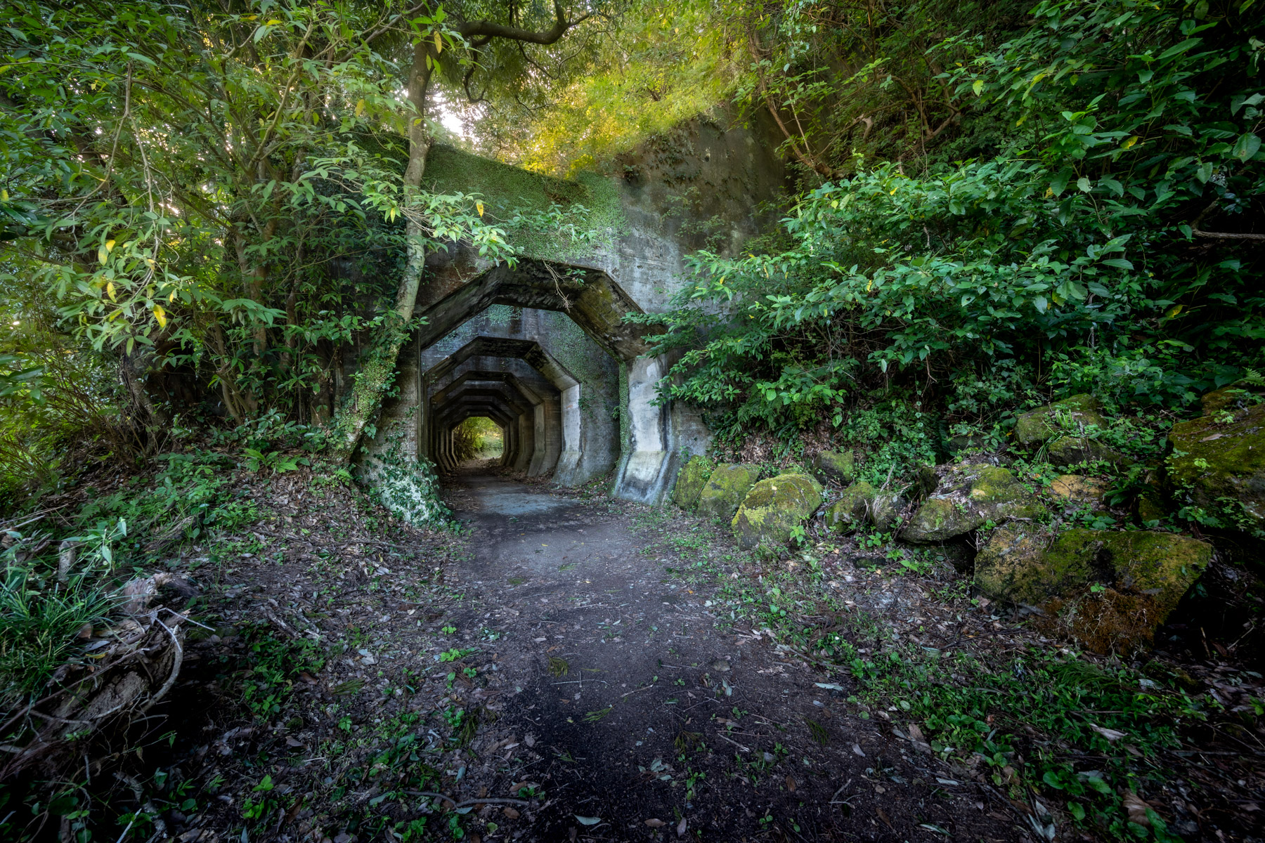 abandoned, haikyo, japan, japanese, kumamoto, kyushu, ruin, tunnel, urban exploration, urbex