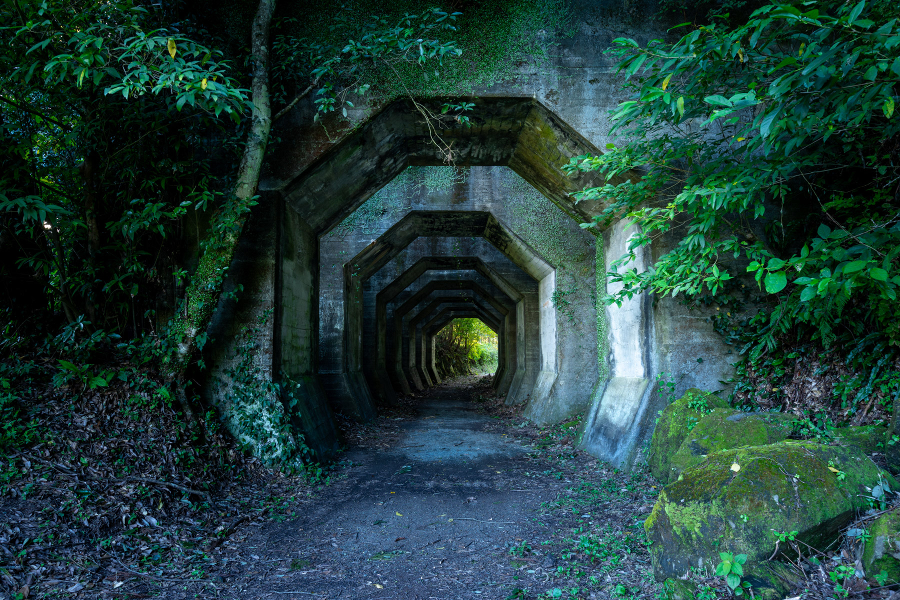 abandoned, haikyo, japan, japanese, kumamoto, kyushu, ruin, tunnel, urban exploration, urbex