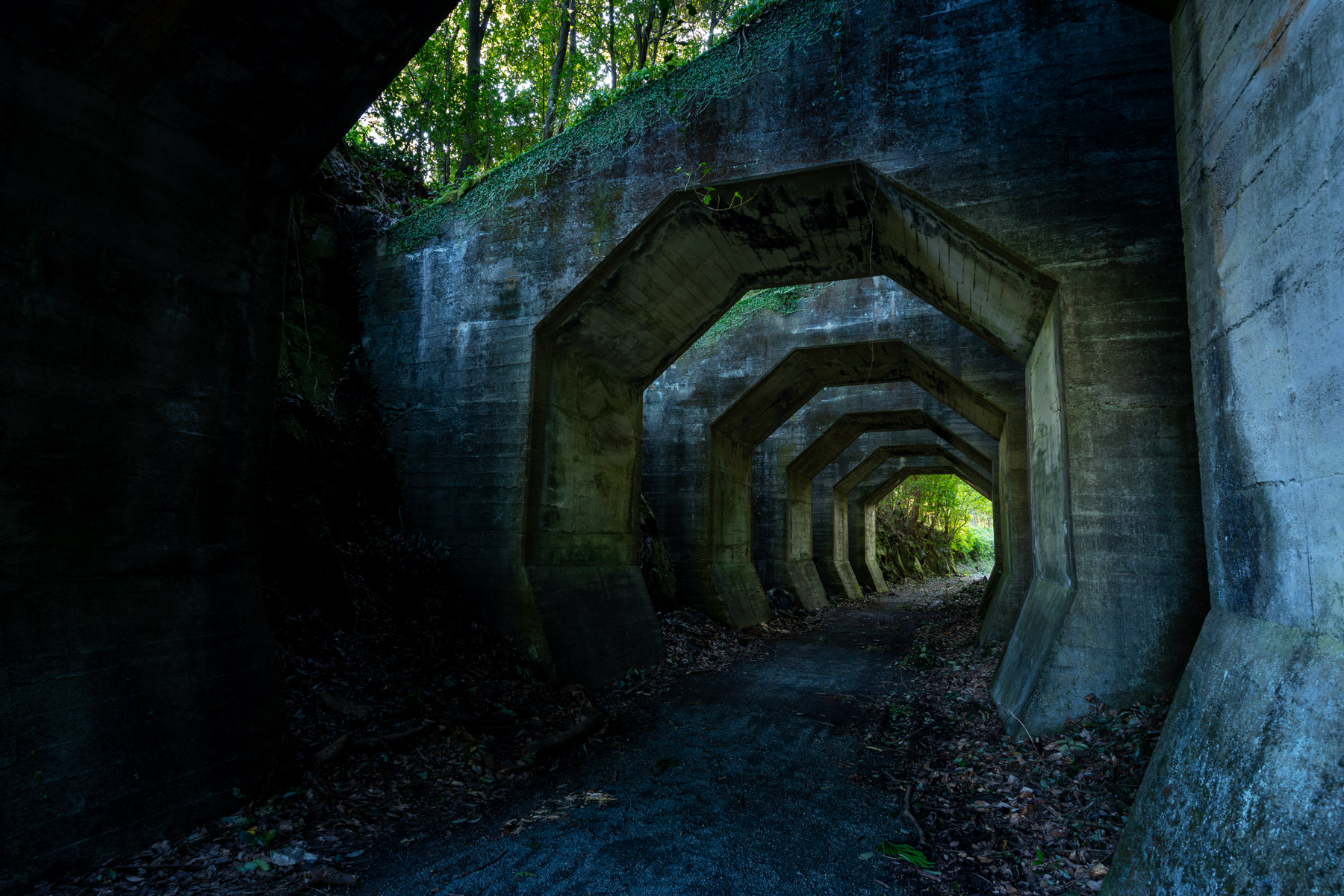 abandoned, haikyo, japan, japanese, kumamoto, kyushu, ruin, tunnel, urban exploration, urbex
