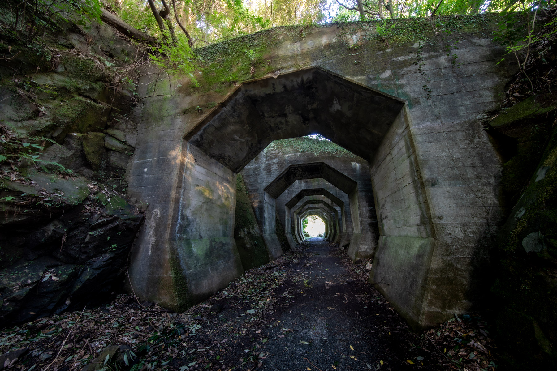 abandoned, haikyo, japan, japanese, kumamoto, kyushu, ruin, tunnel, urban exploration, urbex