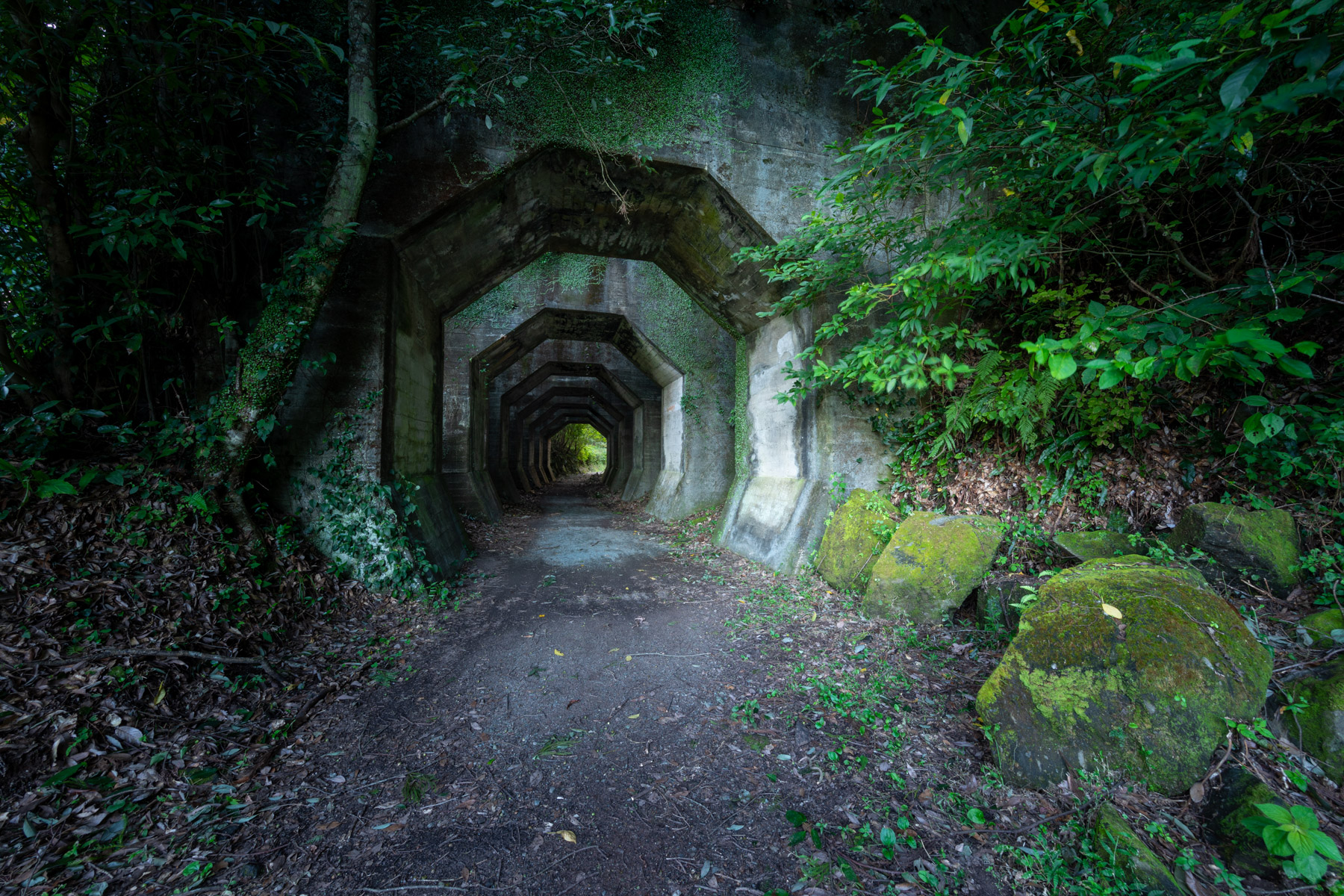 abandoned, haikyo, japan, japanese, kumamoto, kyushu, ruin, tunnel, urban exploration, urbex
