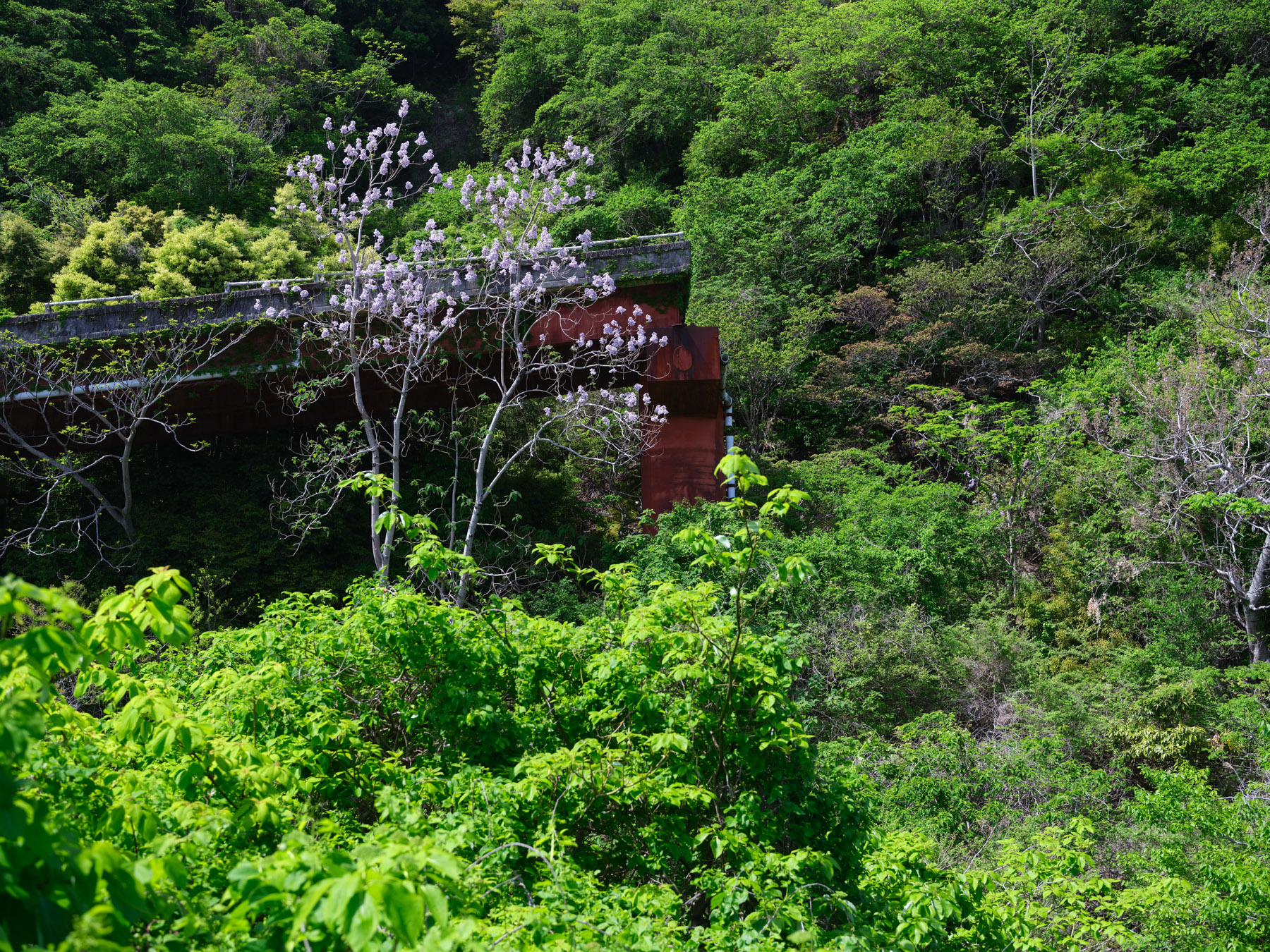 abandoned, bridge, chubu, haikyo, ito, japan, japanese, natural, nature, ruin, shizuoka, urban exploration, urbex
