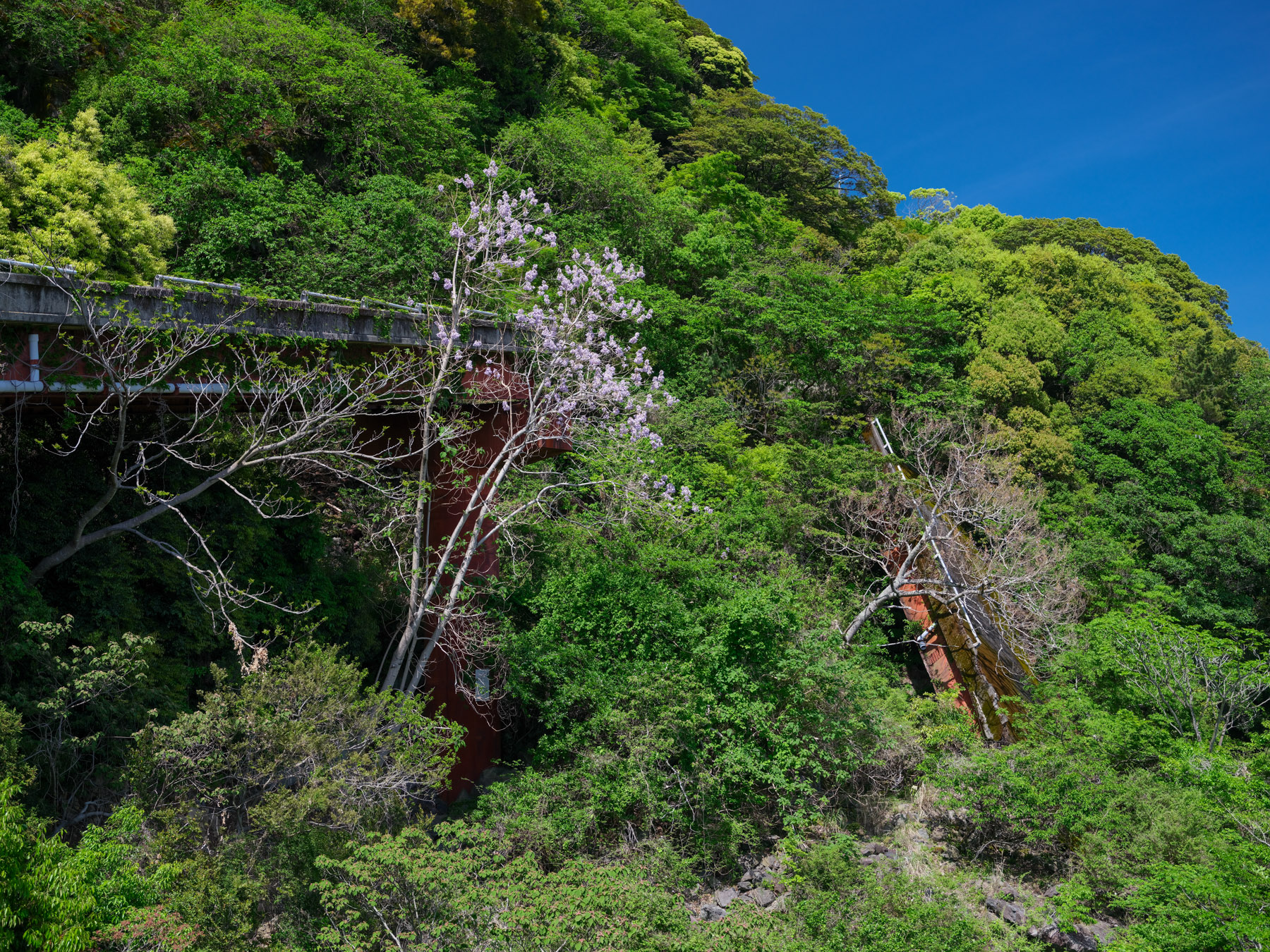 abandoned, bridge, chubu, haikyo, ito, japan, japanese, natural, nature, ruin, shizuoka, urban exploration, urbex