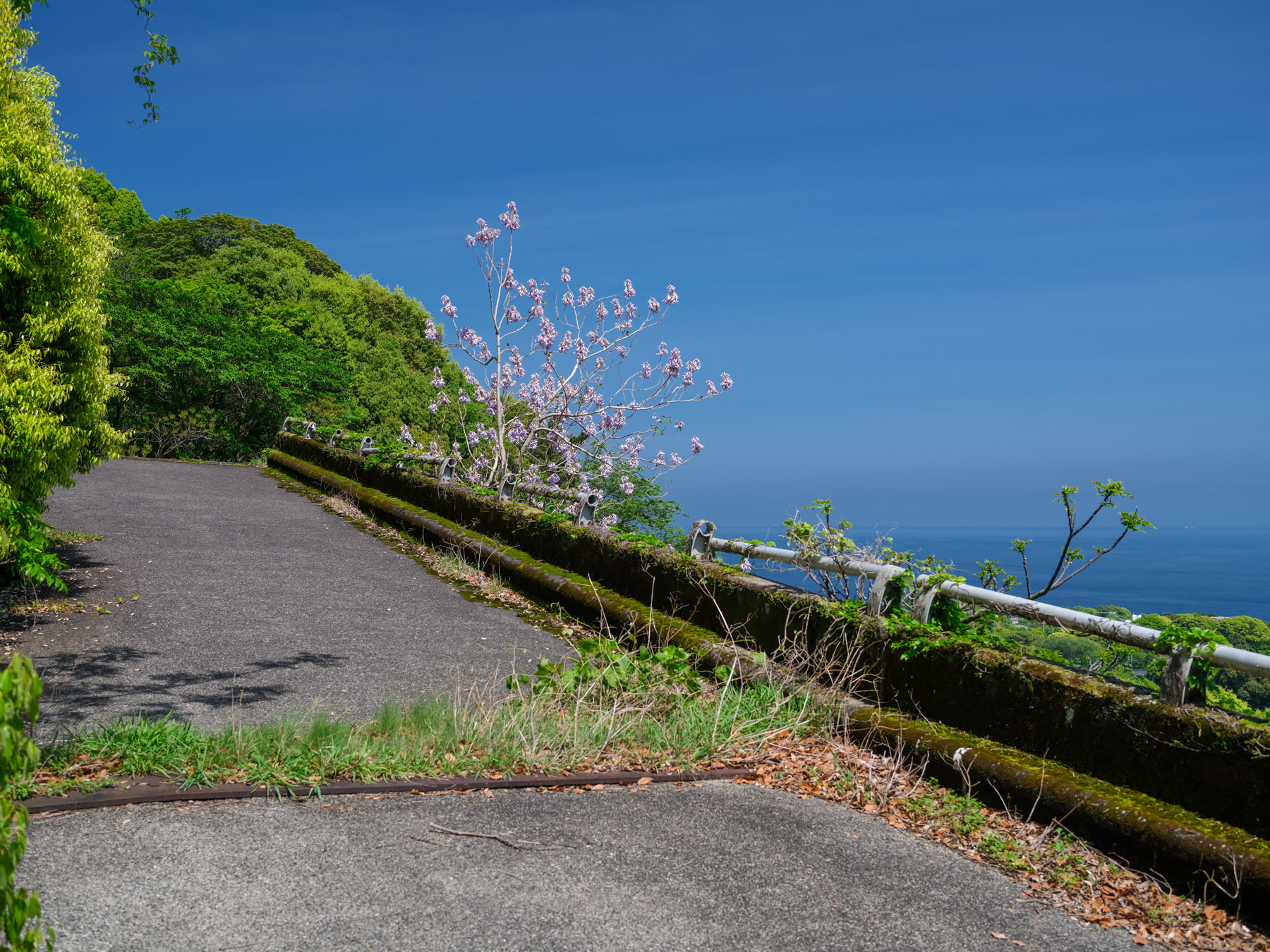 abandoned, bridge, chubu, haikyo, ito, japan, japanese, natural, nature, ruin, shizuoka, urban exploration, urbex