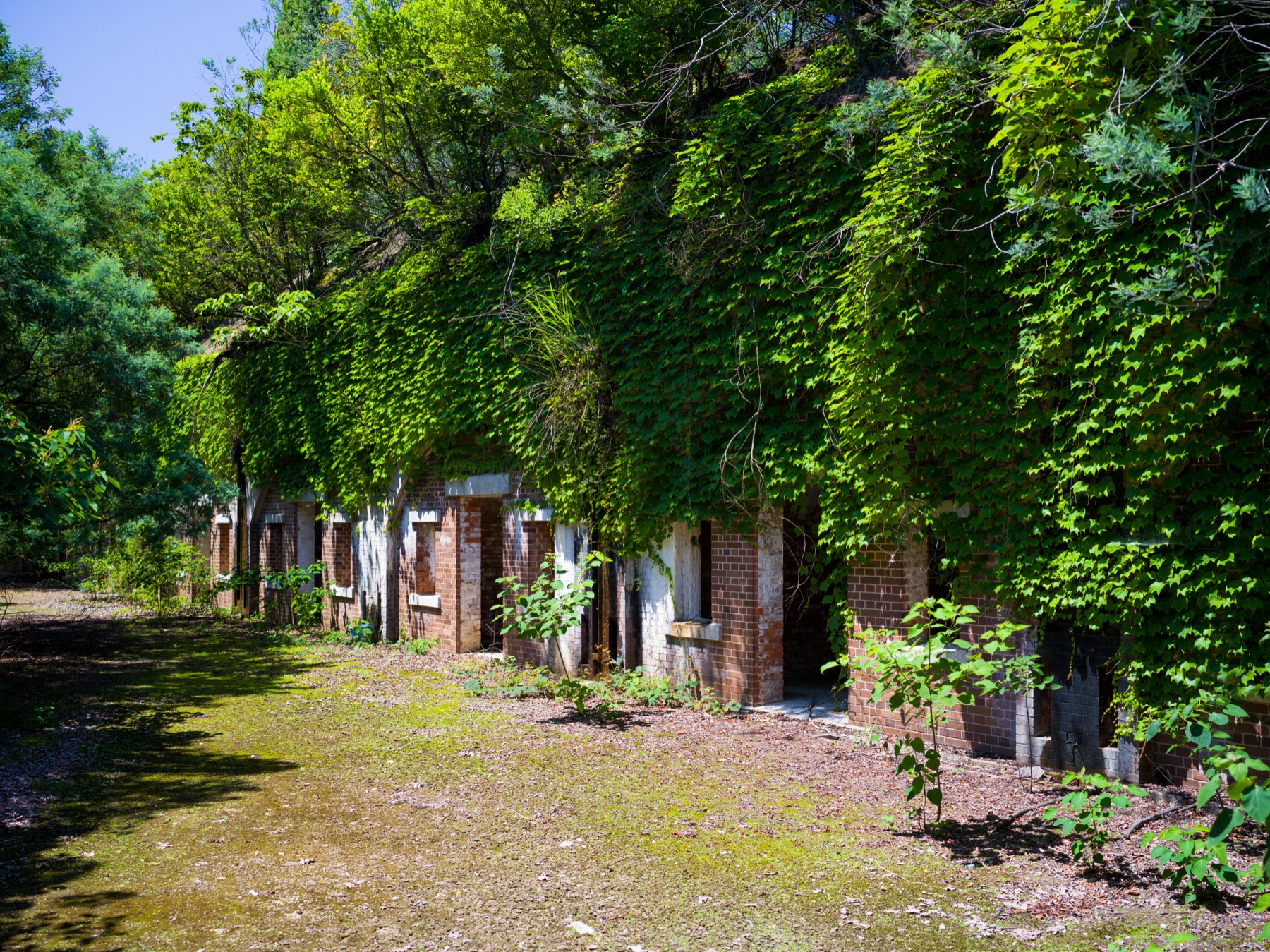 abandoned, army, haikyo, hiroshima, japan, japanese, okunoshima, poison-gas, rabbit, ruin, urban exploration, urbex