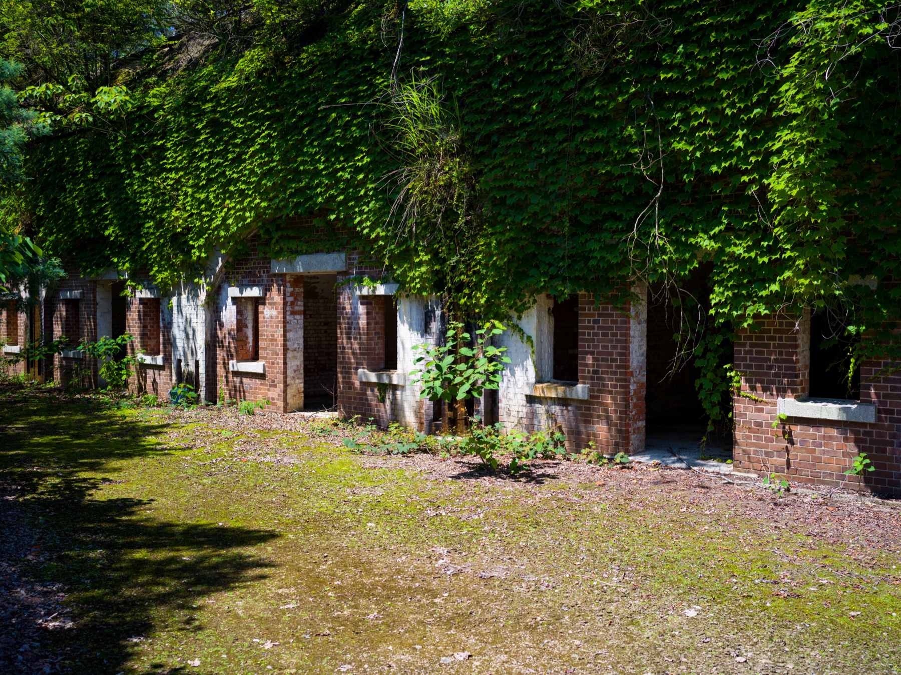 abandoned, army, haikyo, hiroshima, japan, japanese, okunoshima, poison-gas, rabbit, ruin, urban exploration, urbex