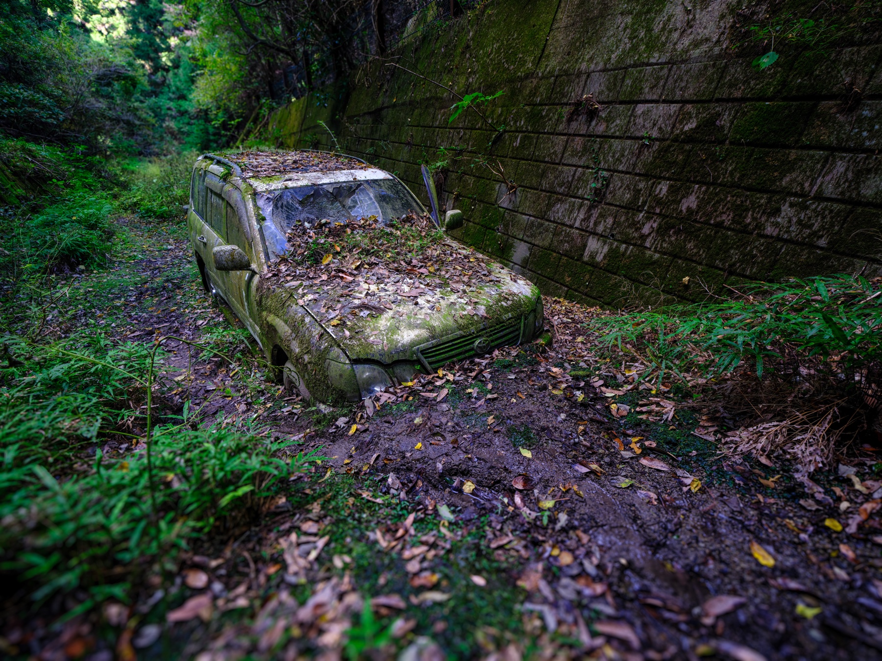 abandoned, car, haikyo, japan, japanese, ruin, urban exploration, urbex, vehicle